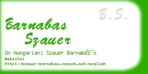 barnabas szauer business card